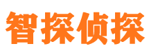 山海关婚外情调查取证